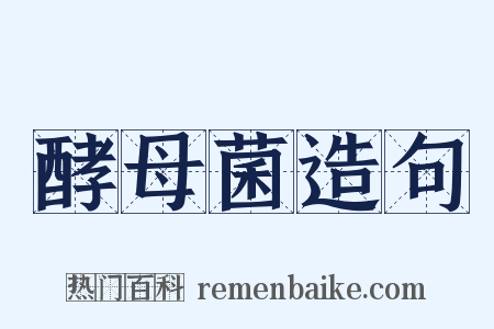 酵母菌造句是什么意思的图片